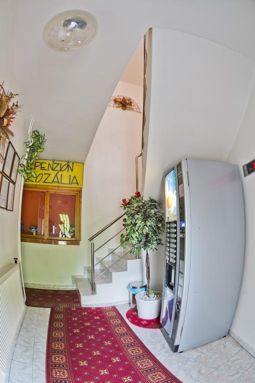 Hotel Penzion Rozalia à Košice Extérieur photo